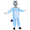 Picture of BLUEY COSTUME - 2-3 YEARS